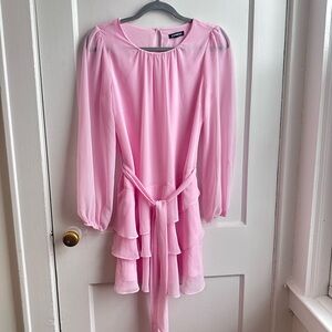Express Pink Chiffon Long Sleeve Ruffle Dress